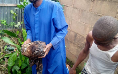 Prophet beheads his lover and buries her body in church premises (graphic photos)