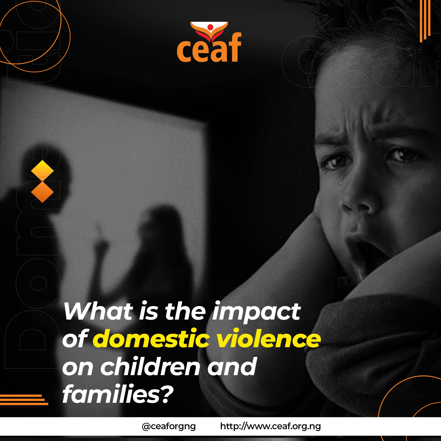 Impact of domestic violence on children and families