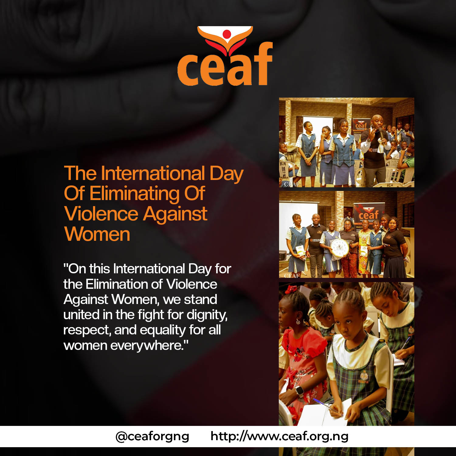 International Day for the Elimination of Violence Against Women: A Call to Action