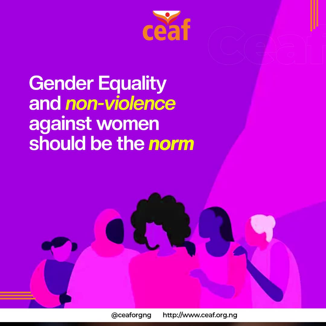 Breaking the Silence: The Fight Against Gender-Based Violence in Nigeria