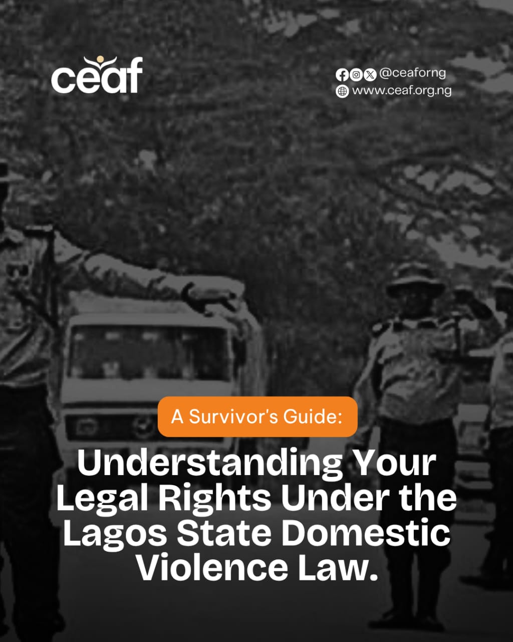 A Survivor's Guide: Understanding Your Legal Rights Under the Lagos State Domestic Violence Law
